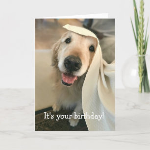 Golden Retriever Dog Het is jouw verjaardag Kaart