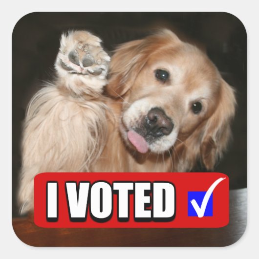 Golden Retriever Dog Ik heb gestemd op verkiezings Vierkante Sticker (Voorkant)