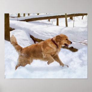 Golden Retriever Dog in de sneeuw Poster