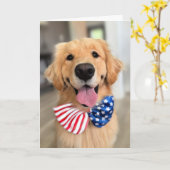 Golden Retriever Dog in Independence Day Bow Strop Kaart (Gele Bloem)