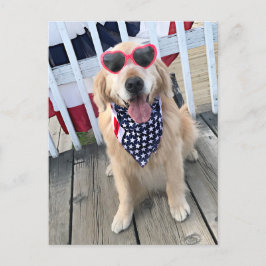 Golden Retriever Dog in Onafhankelijkheidsdagbril Briefkaart