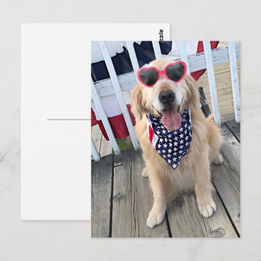 Golden Retriever Dog in Onafhankelijkheidsdagbril Briefkaart (Voorkant / Achterkant)