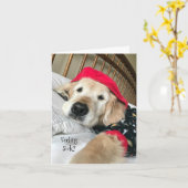 Golden Retriever Dog in Pajamas Get Kaart (Gele Bloem)