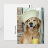 Golden Retriever Dog in Pet Happy Summer Briefkaart (Voorkant / Achterkant)