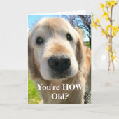 Golden Retriever Dog Je bent hoe oud de verjaardag Kaart (Gele Bloem)