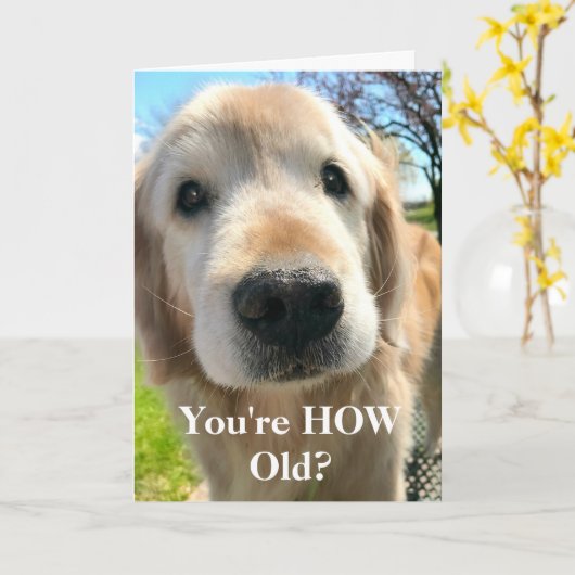 Golden Retriever Dog Je bent hoe oud de verjaardag Kaart (Gele Bloem)