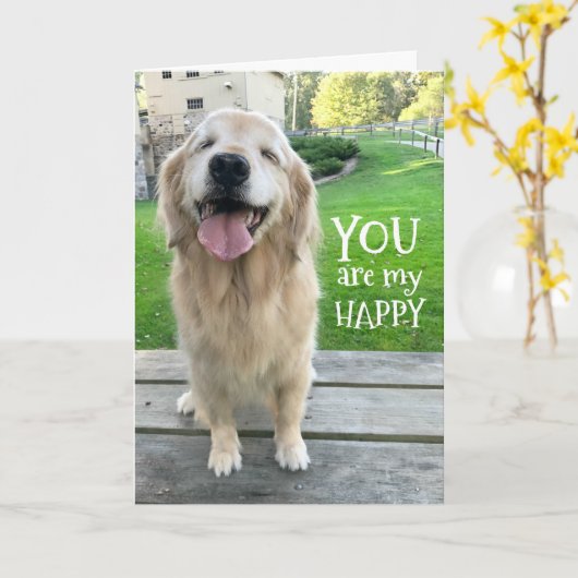Golden Retriever Dog je bent mijn gelukkige Kaart (Gele Bloem)