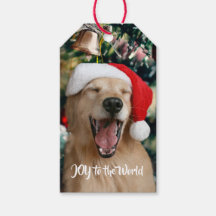 Golden Retriever Dog Joy aan de Eerste Kerstdag va