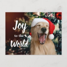 Golden Retriever Dog Joy aan de Eerste Kerstdag va