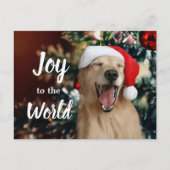 Golden Retriever Dog Joy aan de Eerste Kerstdag va Feestdagenkaart (Voorkant)