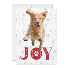 Golden Retriever Dog Joy Paw Print Snowflakes