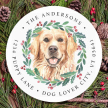 Golden Retriever Dog-kerstreportage