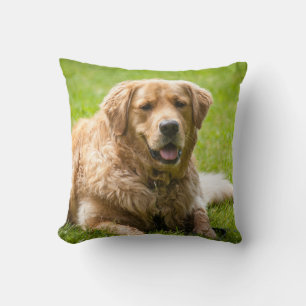 Golden Retriever Dog Kussen