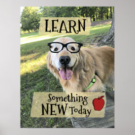 Golden Retriever Dog leert iets nieuws Poster