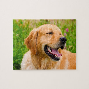 Golden Retriever Dog. Legpuzzel