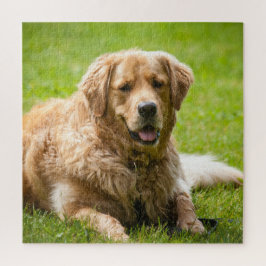 Golden Retriever Dog Legpuzzel