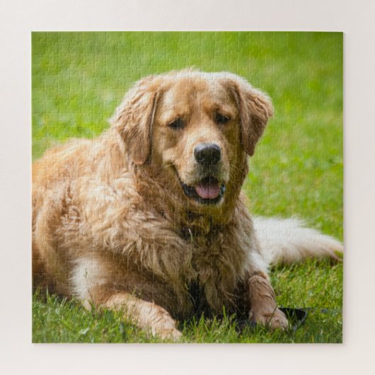 Golden Retriever Dog Legpuzzel (Verticaal)