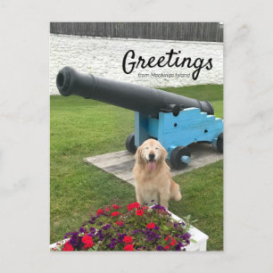 Golden Retriever Dog Mackinac Island Travel Briefkaart