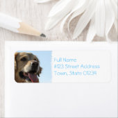 Golden Retriever Dog Mailing Label (Insitu)