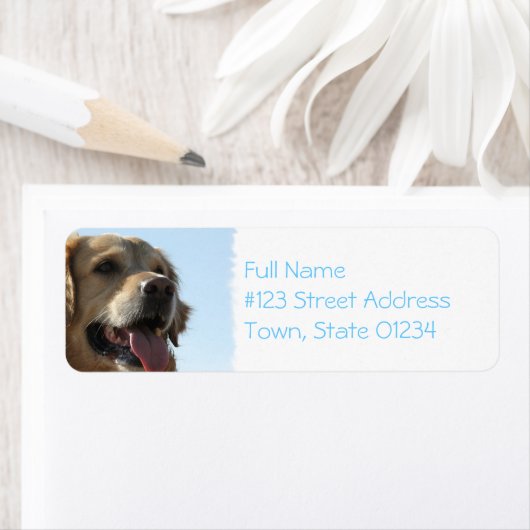 Golden Retriever Dog Mailing Label (Insitu)