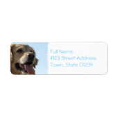 Golden Retriever Dog Mailing Label (Voorkant)