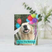 Golden Retriever Dog met ballonnen van afgelopen d Briefkaart (Staand voorkant)