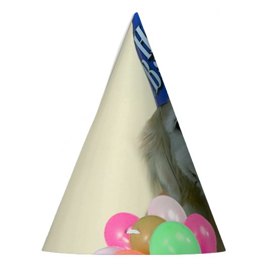 Golden Retriever Dog met ballonnen van afgelopen d Feesthoedjes (Links)