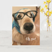 Golden Retriever Dog met bril wordt snel goed Kaart (Gele Bloem)