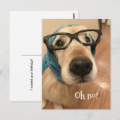 Golden Retriever Dog met brillengaande bril Briefkaart (Voorkant / Achterkant)