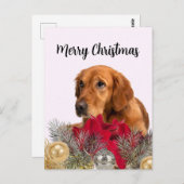 Golden Retriever Dog met kerstversieringen Briefkaart (Voorkant / Achterkant)