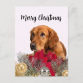 Golden Retriever Dog met kerstversieringen Briefkaart (Voorkant)