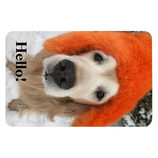 Golden Retriever Dog Met Oranje Fuzzy Pet In Snow Magneet (Horizontaal)