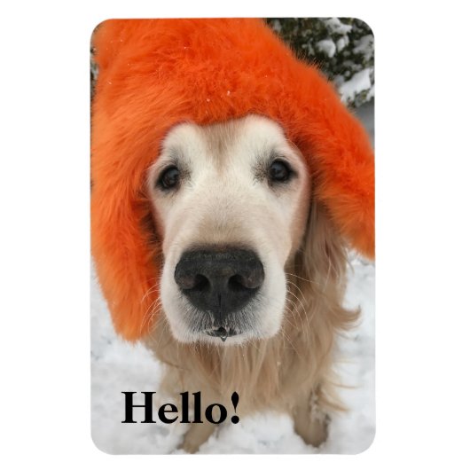Golden Retriever Dog Met Oranje Fuzzy Pet In Snow Magneet (Verticaal)