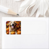 Golden Retriever Dog met Pumpkins & Leaves Label (Insitu)