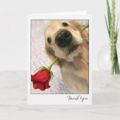 Golden Retriever Dog met Red Rose Bedankt (Voorkant)