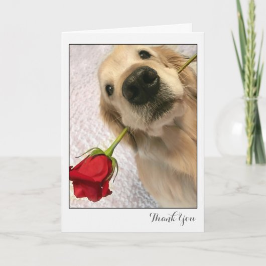 Golden Retriever Dog met Red Rose Bedankt (Voorkant)