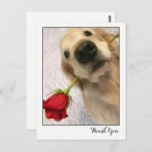 Golden Retriever Dog met Red Rose Bedankt Briefkaart (Voorkant / Achterkant)