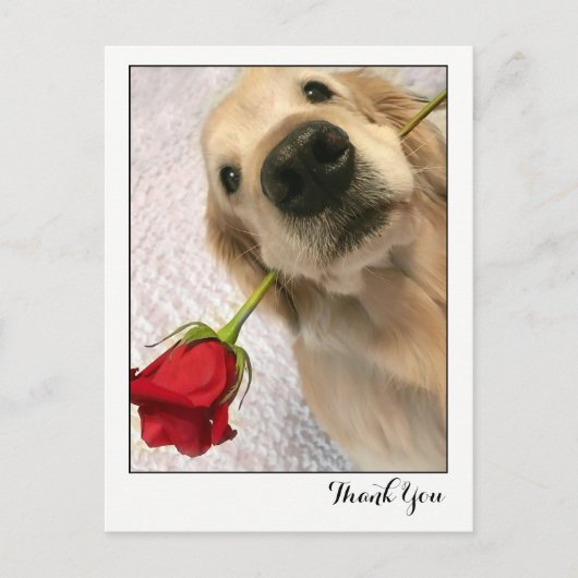 Golden Retriever Dog met Red Rose Bedankt Briefkaart (Voorkant)
