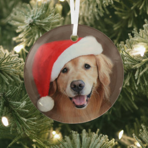 Golden Retriever Dog met Red Santa Hat Glass Orna Glas Ornament