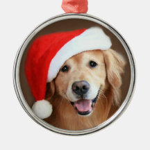 Golden Retriever Dog met Red Santa Hat
