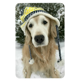 Golden Retriever Dog Met Schattig Pet In Sneeuw Magneet