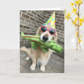 Golden Retriever Dog met Speelgoed Happy Birthday Kaart (Gele Bloem)