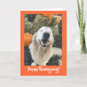 Golden Retriever Dog met Thanksgiving van pompoene Feestdagen Kaart (Voorkant)