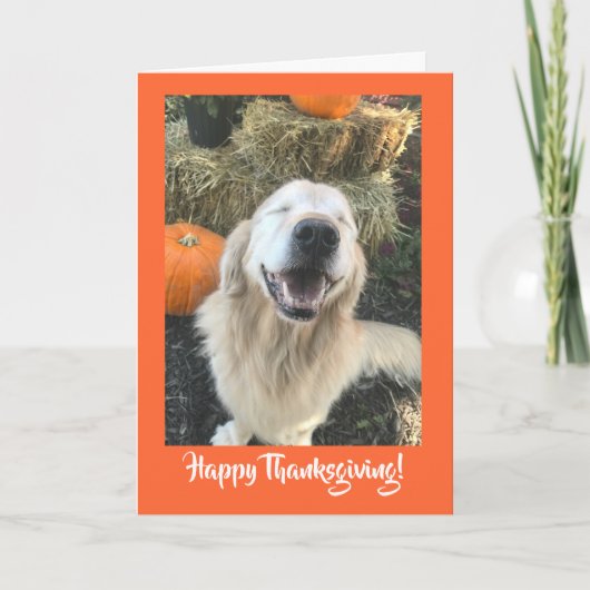 Golden Retriever Dog met Thanksgiving van pompoene Feestdagen Kaart (Voorkant)