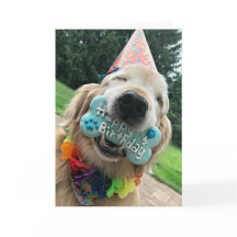 Golden Retriever Dog met Treat Happy Birthday