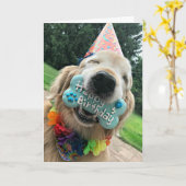 Golden Retriever Dog met Treat Happy Birthday Kaart (Gele Bloem)