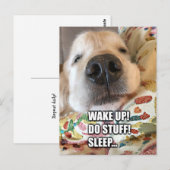 Golden Retriever Dog Motivatie Meme Briefkaart (Voorkant / Achterkant)