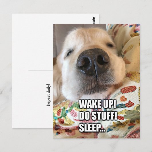 Golden Retriever Dog Motivatie Meme Briefkaart (Voorkant / Achterkant)