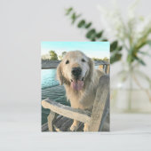 Golden Retriever Dog op een Dock Denking van U Briefkaart (Staand voorkant)