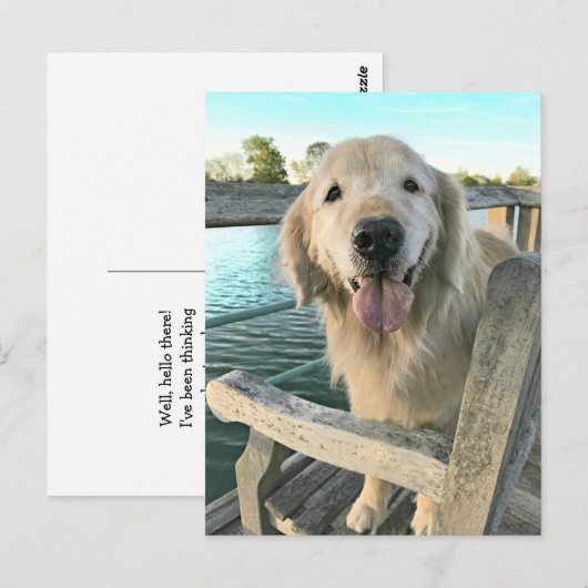 Golden Retriever Dog op een Dock Denking van U Briefkaart (Voorkant / Achterkant)